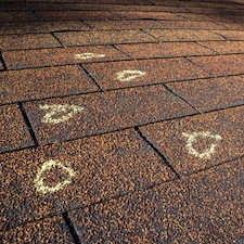 How to Spot Roof Damage Early on Stevensville Homes